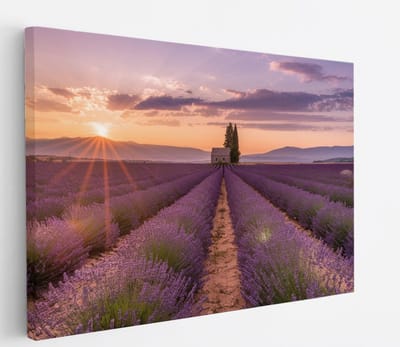 Saammp Canvas Schilderij - Groot lavendelveld met huis - Bloemen - Landschap - Natuur - 45x30 - Foto op canvas - Wanddecoratie - Muurdecoratie Woonkamer - Slaapkamer decoratie - Canvas Print