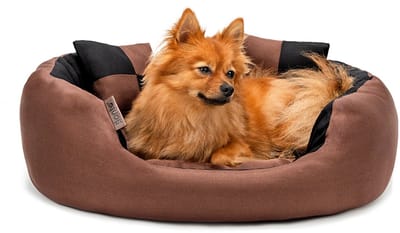 lionto Hondenbed omkeerbaar, waterafstotend & zacht, 65x50 cm zwart/bruin