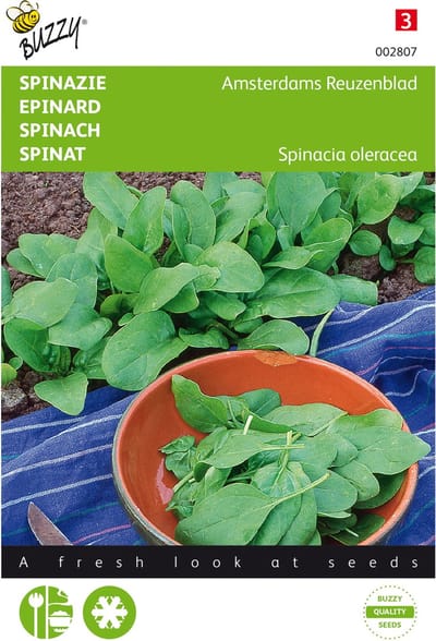 Spinazie Amsterdams Reuzenblad scherpzaad 20 gram