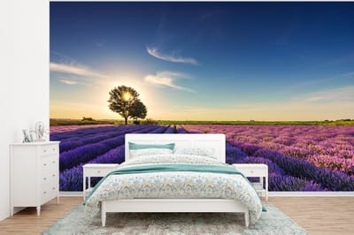 Behang - Fotobehang Lavendel - Zon - Boom - Bloemen - Paars - Breedte 400 cm x hoogte 300 cm