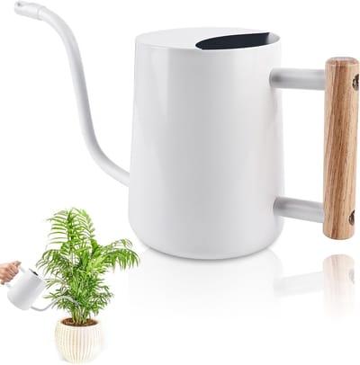 Stalen Gieter voor Binnenplanten 1 Liter met Lange Tuit en Houten Handvat, Ideaal voor Vetplanten en Bloemen in Huis en op Balkon