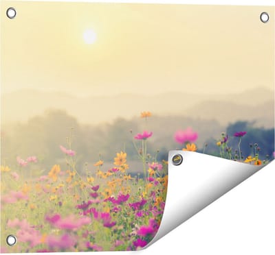 Gards Tuinposter Bloemenveld met Kosmos - Zonsondergang - 50x40 cm - Tuindoek - Tuindecoratie - Wanddecoratie buiten - Tuinschilderij