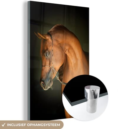 MuchoWow® Glasschilderij 40x60 cm - Schilderij acrylglas - Paard - Bruin - Zwart - Foto op glas - Schilderijen