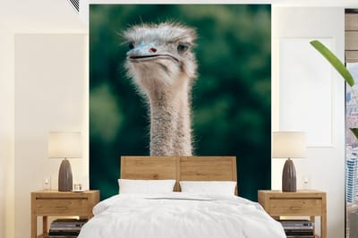 Behang - Fotobehang Close-up van een struisvogel - Breedte 190 cm x hoogte 260 cm
