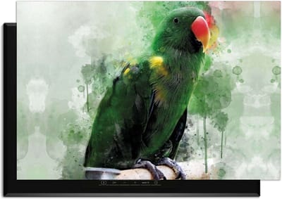 KitchenArt - Jungle Parrot - Inductie Beschermer - 90x50 cm - Kookplaat Beschermer - Luxe Afdekplaat Inductieplaat - Anti-slip & Oprolbaar - Beschermmat Inductiekookplaat