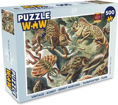 Puzzel Vintage - Kunst - Ernst Haeckel - Salamanders - Dieren - Legpuzzel - Puzzel 500 stukjes