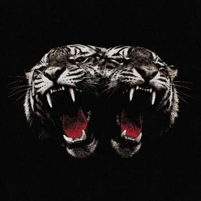 Royal Blood LP - Dead Company - voor Geen - standaard