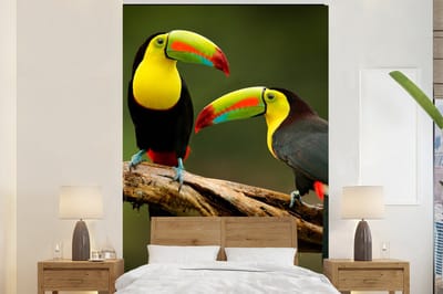 Behang - Fotobehang Vogels - Toekan - Tak - Dieren - Regenboog - Breedte 200 cm x hoogte 300 cm