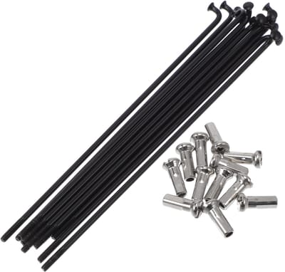 Dailygoods- Fiets Spaken 14G 110mm - Roestvrij Staal - Zwart - Set