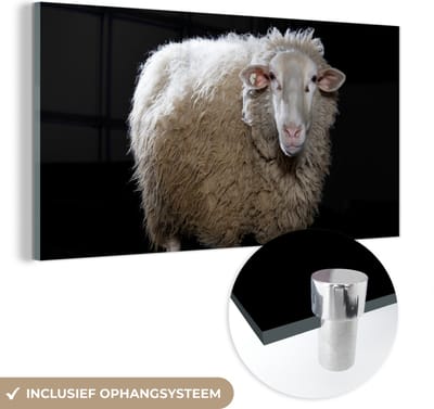 MuchoWow® Glasschilderij 40x20 cm - Schilderij acrylglas - Schaap - Boerderijdieren - Zwart - Foto op glas - Schilderijen