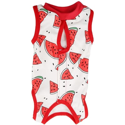 Katten Herstelpak Na Operatie Kleding Ademend Voorkomt Likken Kitten Herstelshirt Kleding voor Katten S