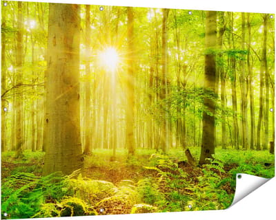 Gards Tuinposter Groen Bos met Schijnende Zonnestralen - 150x100 cm - Tuindoek - Tuindecoratie - Wanddecoratie buiten - Tuinschilderij