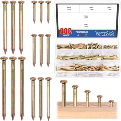 Assortiment van 300 Stuks Gekleurde Gegalvaniseerde Cement Spijkers voor Hangen van Foto's en Houtbewerking, Geschikt voor Gipsplaten en Beton