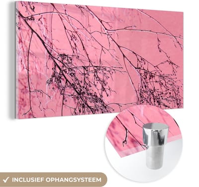 MuchoWow® Glasschilderij 40x20 cm - Schilderij acrylglas - Bloemen - Takken - Zomer - Foto op glas - Schilderijen