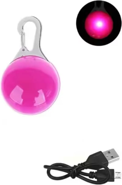 CHPN - Halsband lampje - Lampje voor aan halsband - Honden lampje - Hond zichtbaar in donker - LED- Lampje - Halsbandverlichting - Roze