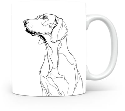 Beker Schillerstövare (Schiller Hound)