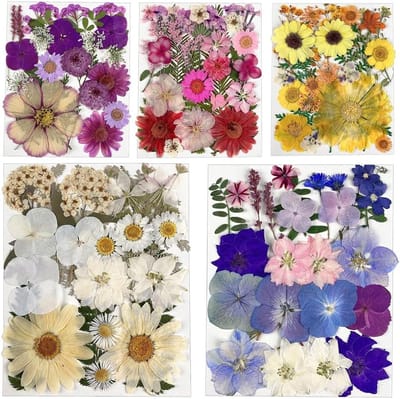 125 stuks gedroogde bloemen voor harsvormen, natuurlijke bloemblaadjes voor DIY-projecten, zeep en sieraden maken