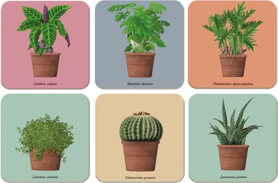 Kamerplanten - Kelly van Koppenhagen - Hortus Botanicus Amsterdam Onderzetters 6 stuks
