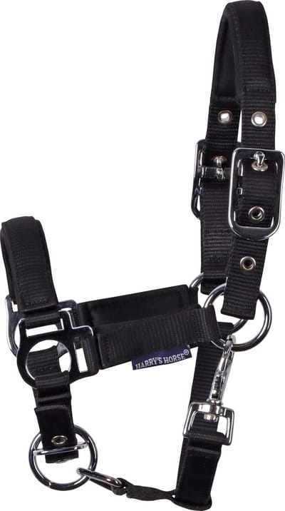 Harry's Horse - Veulenhalster - Padded - Zwart - Mini Veulen