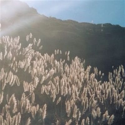 Blithe Sons - The Great Orthochromatic Wheel (LP)