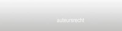 Flame Classics Aansteker gasbus - butaan gasfles 250 ml - 2 stuks