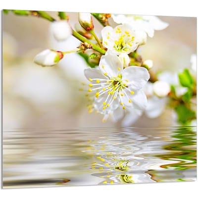 TMK ArtDeko - Glazen Keukenpaneel - 65x60 cm - Beschermend - Sliwka