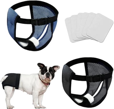 Allecto - Set van 2 Herbruikbare Hondenonderbroeken met 6 Hygiënische Pads - Zwart en Blauw (S)