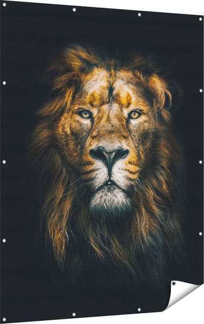 Gards Tuinposter Leeuw - Leeuwenkop - Kleur - 120x160 cm - Tuindoek - Tuindecoratie - Wanddecoratie buiten - Tuinschilderij