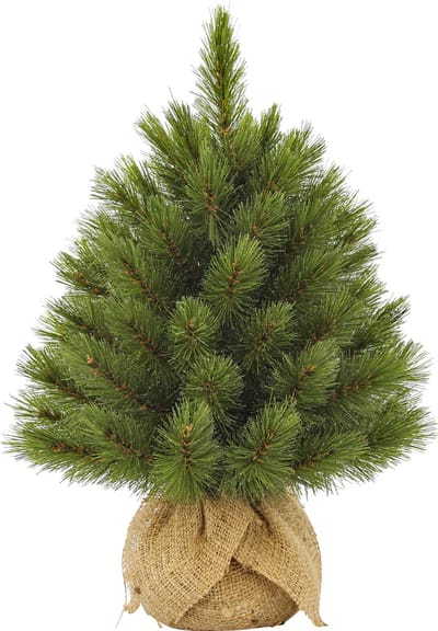 Triumph Tree Forest Frosted Kunstkerstboom H45 x D36 cm - Kunstboom in Jute Zak - Kunst Kerstboom voor Binnen - 61 Tips - Groen