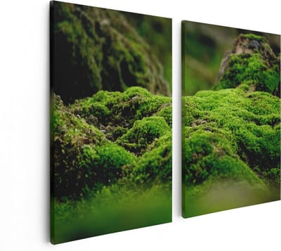 Artaza Canvas Schilderij Tweeluik Groen Mos - 80x60 - Foto Op Canvas - Canvas Print