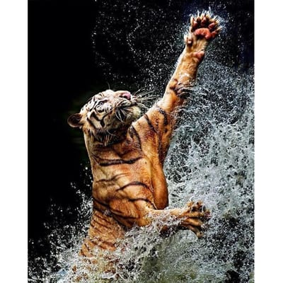 5D bricolage diamant peinture  tigre contrôle eau  diamant broderie point de croix 20X30CM