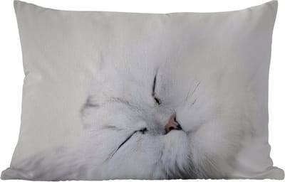 Buitenkussens - Tuin - Witte kat op witte achtergrond van dichtbij - 50x30 cm