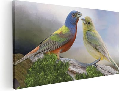 Artaza Canvas Schilderij Vogels - 40x20 cm - Klein - Wanddecoratie Vogel - Muurdecoratie Woonkamer - Kamer Accessoires Kleurrijk