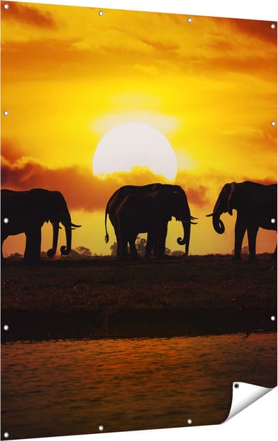 Gards Tuinposter Silhouet Olifanten tijdens Zonsondergang - 120x160 cm - Tuindoek - Tuindecoratie - Wanddecoratie buiten - Tuinschilderij