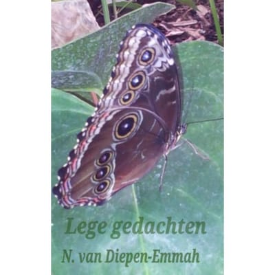 Lege Gedachten - natascha van diepen emmah