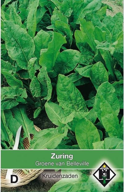 Van Hemert Zaden - Zuring Groen Van Belleville (Rumex acetosa)