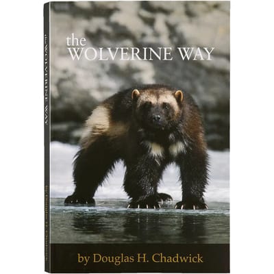 Boek Patagonia The Wolverine Way