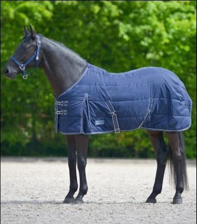 Stal Deken Economic 100gr