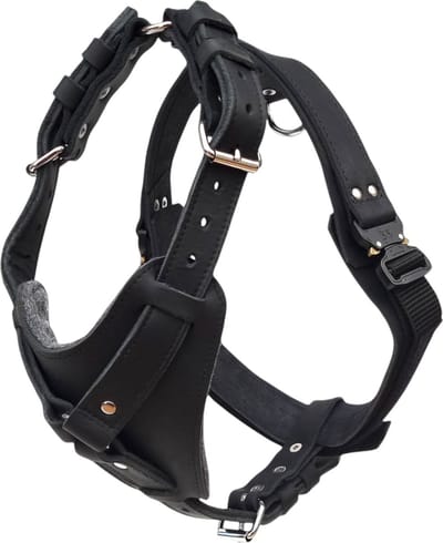 K9World by van der Veeke, Leren Borsttuig voor Werkhonden – Heavy Duty – Dubbel Gestikt – Vilt Gevoerd – Click-Lock Buckle - Zwart