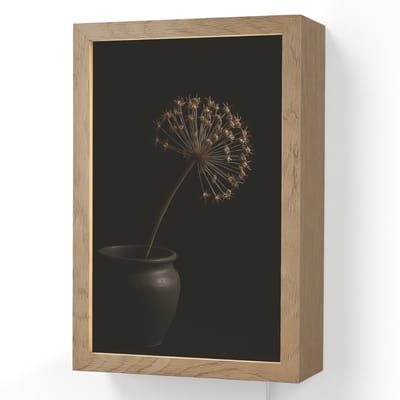 Wandlamp 20x30 cm - Oplaadbaar - Bol - Gedroogd - Vaas - Zwart - Wandlampen binnen woonkamer - Slaapkamer lamp met kabel - Decoratieve nachtlamp - Vloerlamp snoer