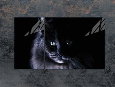 TMK ArtDeko Serie - Glazen Beschermplaat - 90x52 cm - Kat Motief - Gehard Glas