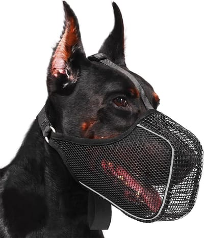 Honden Muilkorf - Comfortabel Ademend - Veilig Wandelen - Verstelbaar Comfort - Maat XL - Zwart