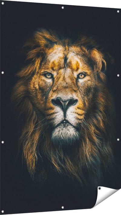 Gards Tuinposter Leeuw - Leeuwenkop - Kleur - 100x150 cm - Tuindoek - Tuindecoratie - Wanddecoratie buiten - Tuinschilderij