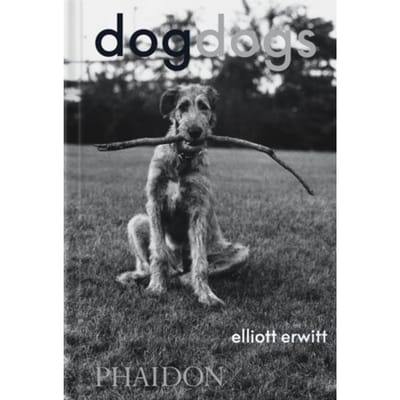 Dogdogs - P G Wodehouse