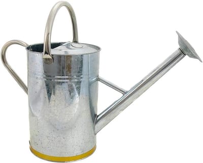 Decoratieve gieter - Koperen gieter - Planten water geven - Stijlvol en functioneel - 9 liter - Koper/zilver