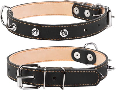 WAUDOG Classic Halsband / Hondenhalsband met Spikes - Leder - Zwart - Breedte: 25 mm - Nekomtrek: 38 - 50 cm (GELIEVE ALVORENS BESTELLEN OPMETEN)