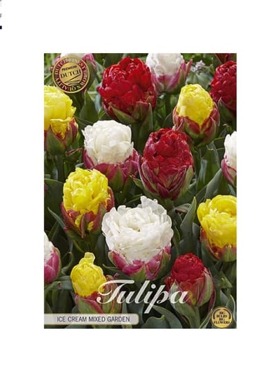 Dutch Finest Quality bloembollen Tulpen 10 stuks Ice Cream Mixed Garden 5 stuks maat 12