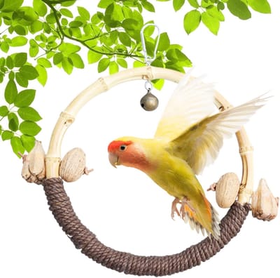 Vogel Zitstok Speelgoed - Staande Tak Speelgoed - Vogelkooi Verrijking - Gesimuleerd Noten Ontwerp