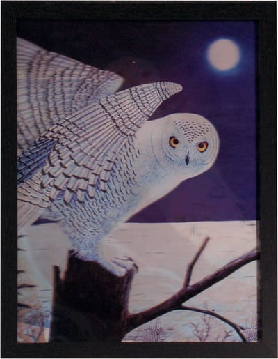 Poster 3D met Lijst - Sneeuwuil Bos & Sneeuw - 3 Afbeeldingen - 43x33cm