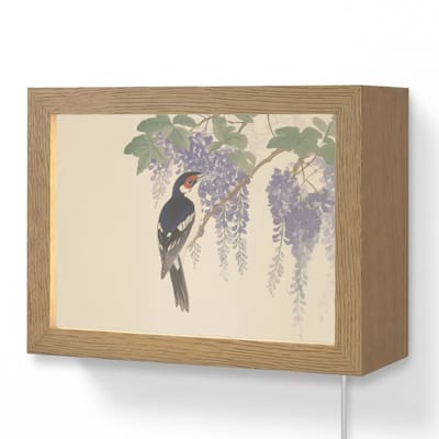 Wandlamp 20x15 cm - Oplaadbaar - Specht - Bloemen - Paars - Wandlampen binnen woonkamer - Slaapkamer lamp met kabel - Decoratieve nachtlamp - Vloerlamp snoer